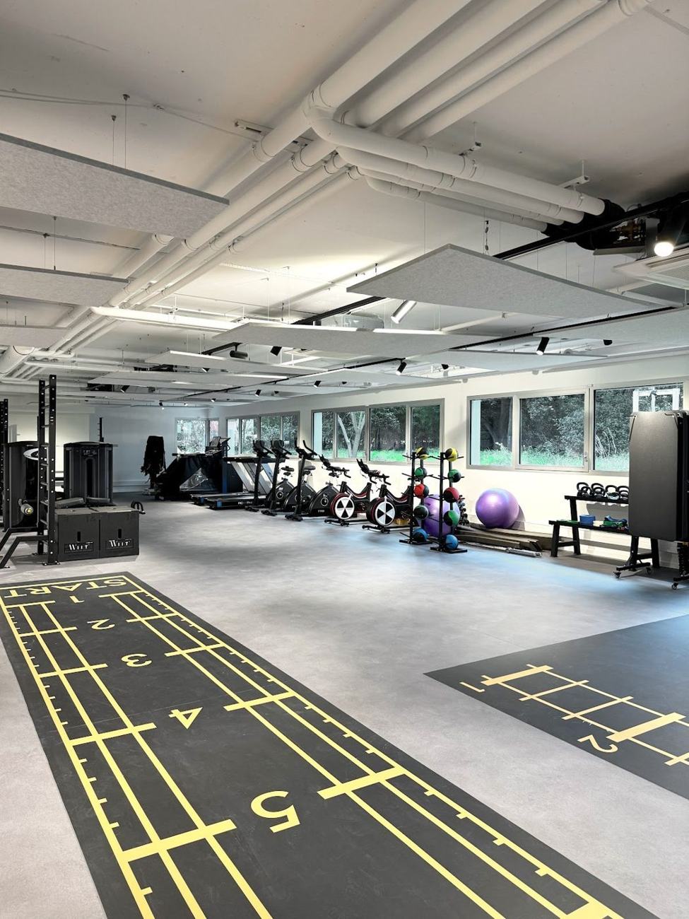 Vivalia Marseille, plateau musculation